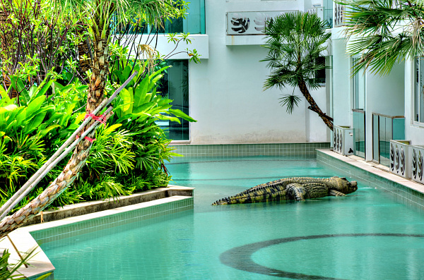 Amazon Residence